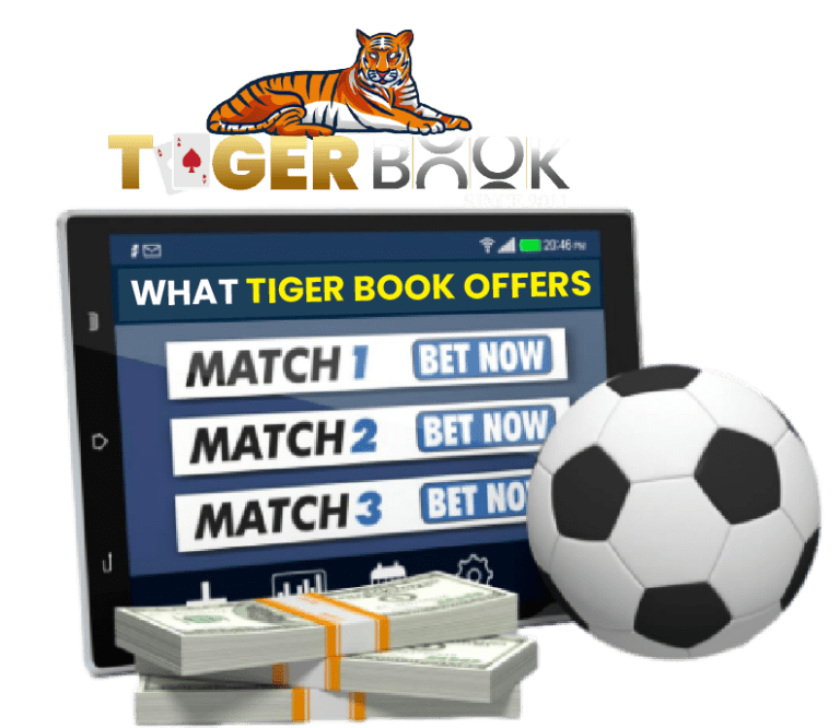 online cricket betting id